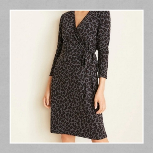 Ann Taylor Dresses & Skirts - Nwt ann taylor dress